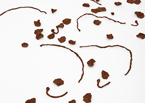 Latifa Echakhch, Charlie Brown’s Poppies, 2011