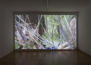 Elisa Larvego, Los Alamos, 2012