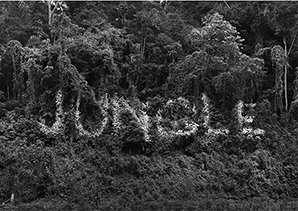 Julian Charrière, Julius von Bismarck, Jungle, photo, 2015. Copyright Julian Charrière & Julius von Bismarck, VG Bild-kunst, Bonn, Courtesy DITTRICH & SCHLECHTRIEM, Berlin and alexander levy, Berlin  Copyright Julian Charrière & Julius von Bismarck, VG Bild-kunst, Bonn, Courtesy DITTRICH & SCHLECHTRIEM, Berlin and alexander levy, Berlin
